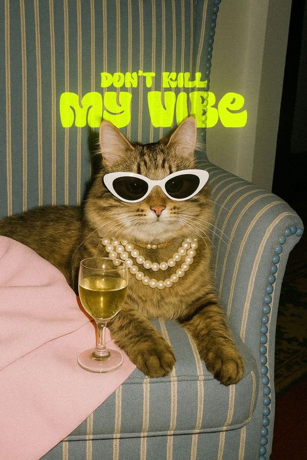 A cat in sunglasses and pearls: don’t kill my vibe